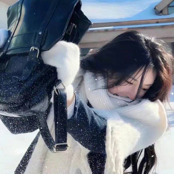 义胆忠魂